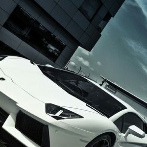 Meet your Posher, William